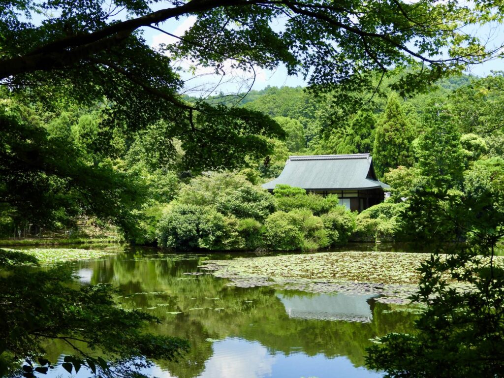 京都のきれいな景色