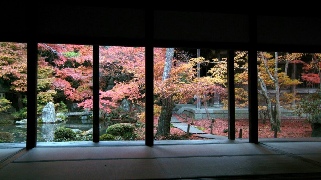 京都のきれいな紅葉